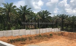 PBOX 30W Non Sensor, Perkebungan Kelapa Sawit, Luwuk Sulawesi Tengah