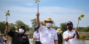 Artikel Berita PT Wedosolar Indonesia